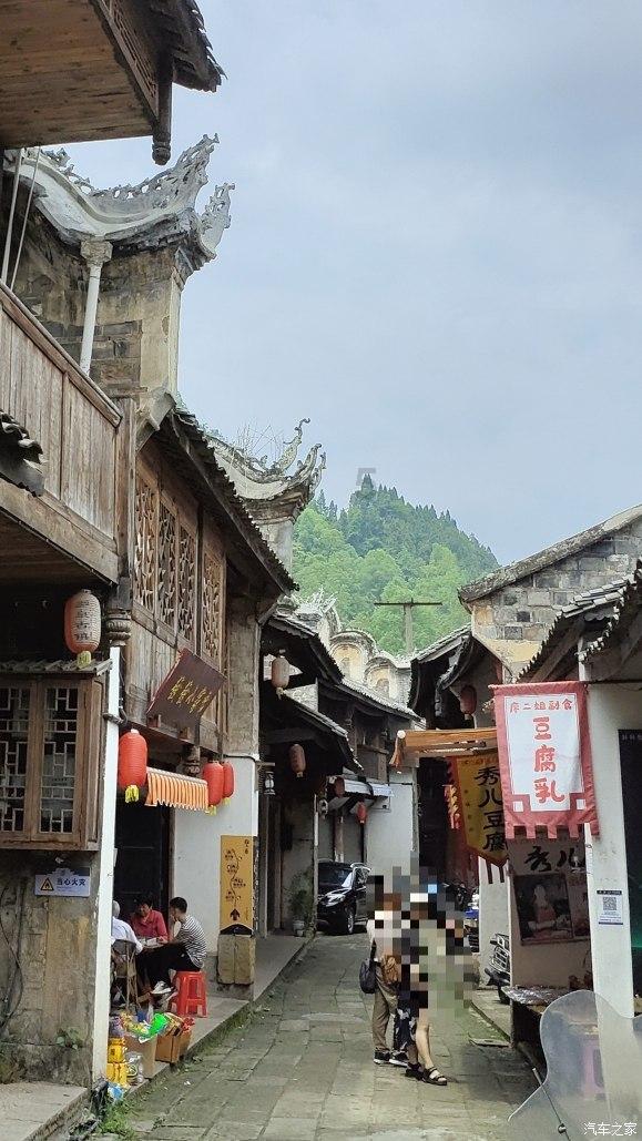 张家界国家森林公园:大寒梅香(组图)